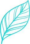 team_ilus_01